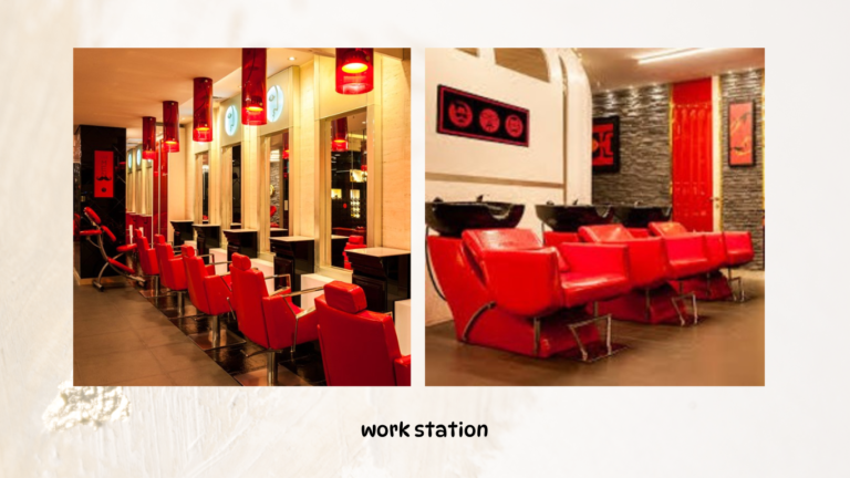 lakme salon (Website) 2