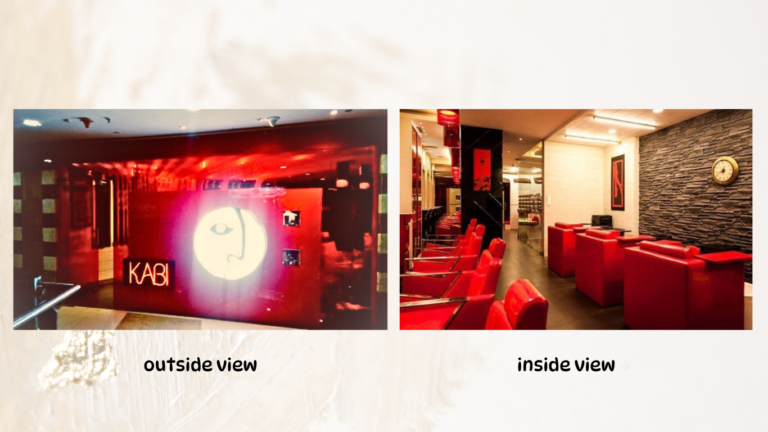 lakme salon (Website) 4